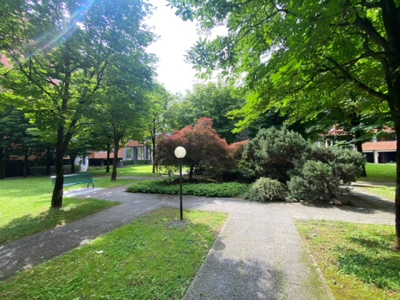 image0 (4).jpeg